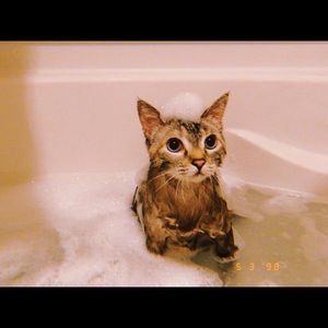 Meet your Posher, Casey